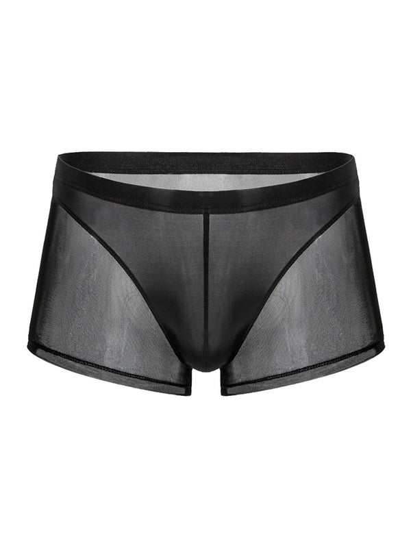 Sexy Panelled Mesh Trunks For Men