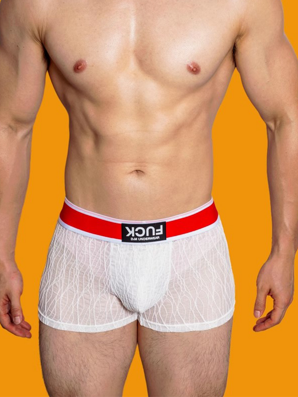 3 Pacotes Cueca Masculina Renda de Malha Secagem Rápida Respirável Cor Sólida