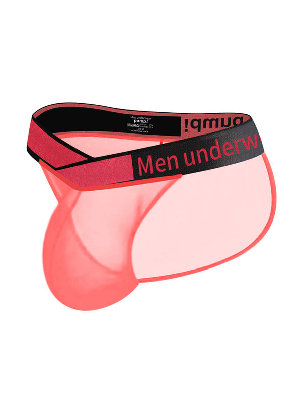 2 Pack Men's Large Pouch Semi-Transparent Sexy Bikini