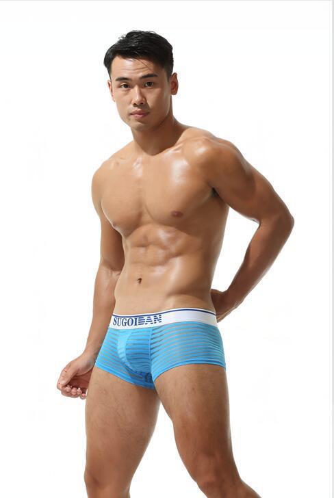 Men's Sexy Transparent Striped Trunks