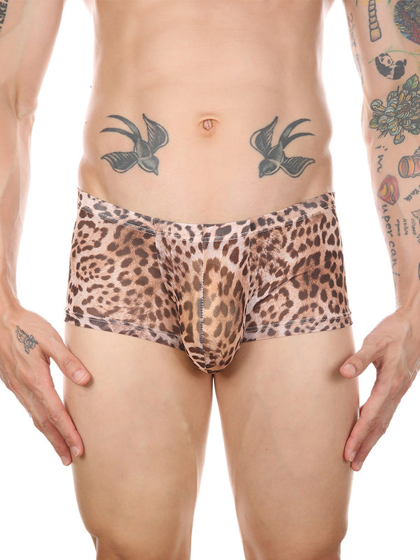 Pack de 4 calzoncillos de malla transparente con estampado de leopardo