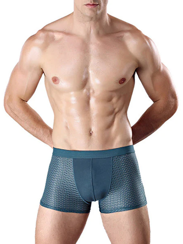 4st Mesh Andas Ice Silk Underkläder Boxer