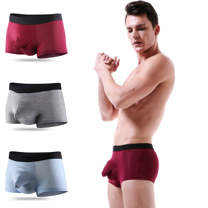Men's Double Pouch Underwear Separate Pouch Modal Trunks